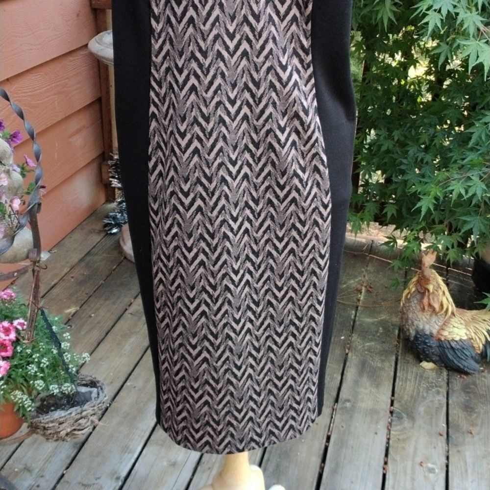 Connected Woman Colorblock Dress - Picture 3 of 9